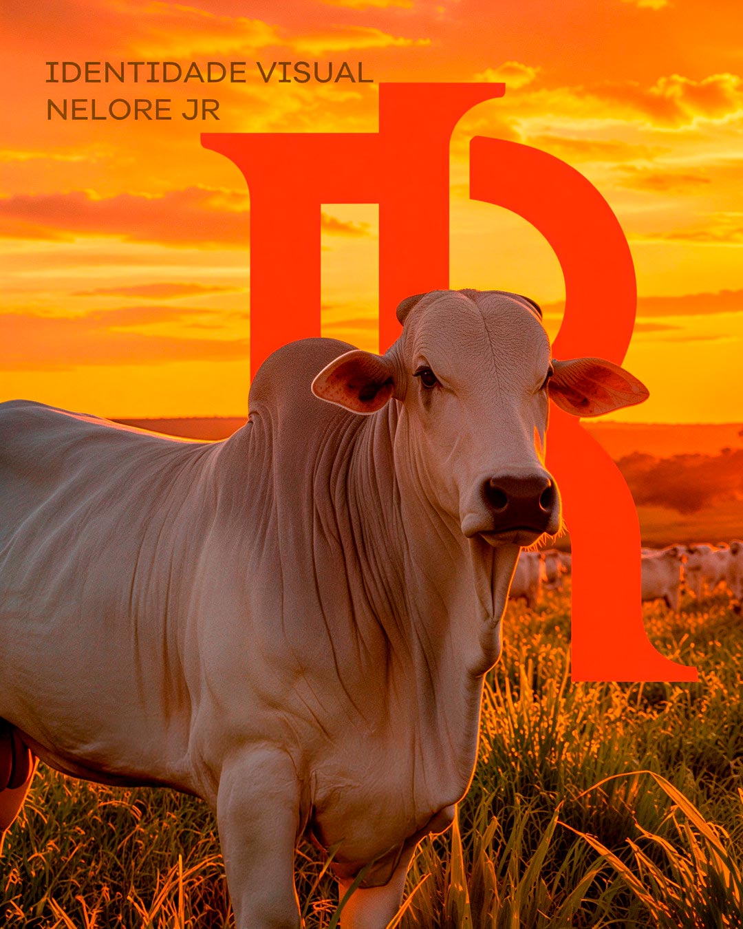 Branding para Fazendas - Nelore JR