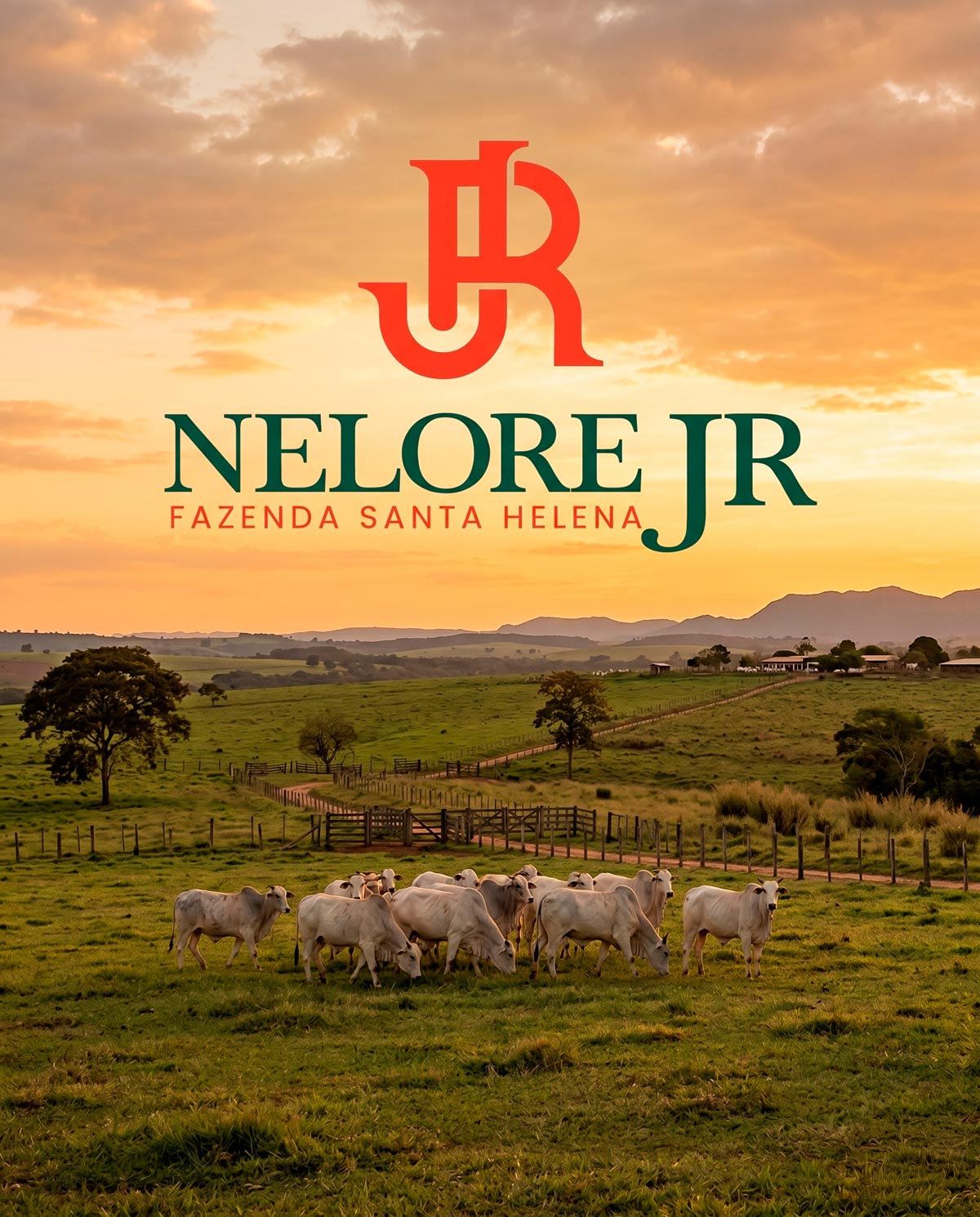 Construção do símbolo JR — Nelore JR Fazenda Santa Helena