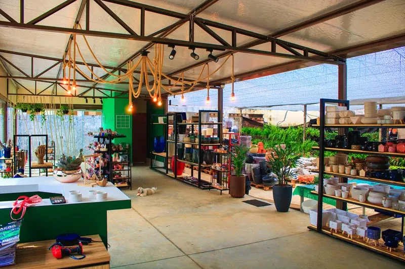 Fachada da floricultura Mimos da Terra, case de marketing da Live Design